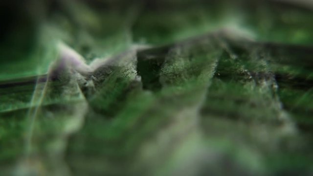Fluorite Green Stone Texture Rotating