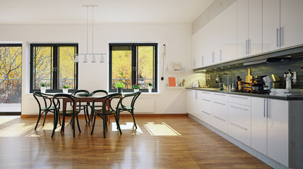 modern scandinavian style kitchen interior.