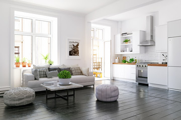 scandinavian style living room design.