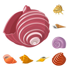 Vector design of seashell and mollusk symbol. Set of seashell and seafood  stock vector illustration.