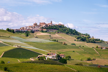 Fototapeta na wymiar La Morra vineyards hills. Langhe, Piedmont, Italy, , Unesco heritage. Viticulture, Langhe, Piedmont, Italy, Unesco heritage. Barolo, Nebbiolo, Dolcetto, Barcaresco red wine.