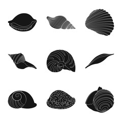 Vector illustration of nature  and ocean symbol. Collection of nature  and mollusk stock symbol for web.