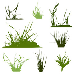 Set with silhouettes of grass, green vector illustration on white background