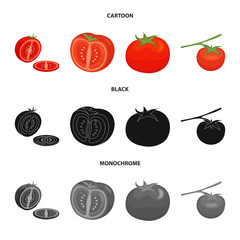 Isolated object of vegetable and delicious sign. Set of vegetable and natural stock vector illustration.