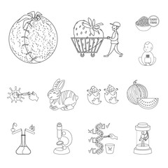 Vector design of genetic and science icon. Set of genetic and organic stock symbol for web.