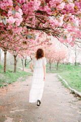 A young woman in a white dress in the spring park with a pink sakura tree in blossom