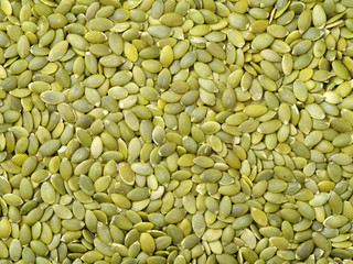 Macro background texture of green pumpkin seeds