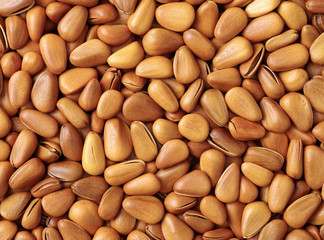 Pine nuts background