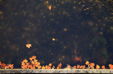 Abstract seasonal background of water surface with lightly wave and golden brown autumn leaves in...