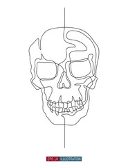 Continuous line drawing of hand drawn skull. Vector illustration. Element for you design works.