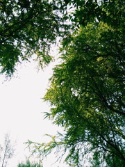 Processed with VSCO with c1 preset