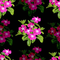 Tropical flower seamless pattern with vinca rosea-vector