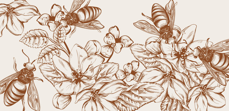 Honey, bees and flowers Vector line art card. Retro vintage old effect styles