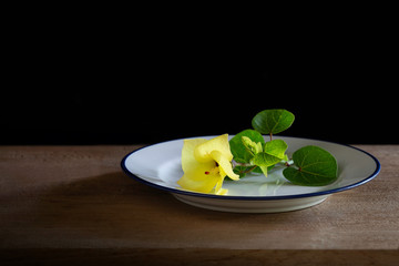 Beauty Yellow flower in white dish on the plank which has dim light
