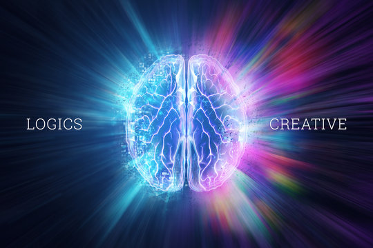 Human brain on a blue background, the inscription is creative and logic, the hemisphere is responsible for logic, and is responsible for creative. 3D illustration, 3D render