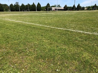 terrain de sport  pelouse