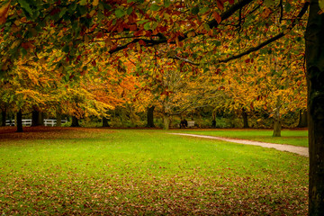 Naklejka premium beautiful parks in autumn fall season