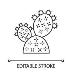 Prickly pear cactus linear icon