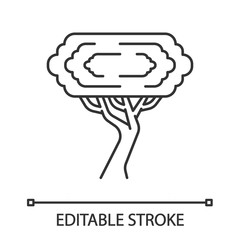 Palo verde tree linear icon