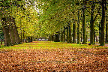 beautiful parks in autumn fall season