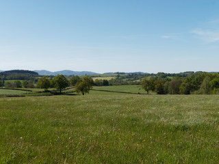 Paysages du Bourbonnais dans l'Allier. Vertes Prairies, collines et bocages de la montagne Bourbonnaise en région Auvergne-Rhônes-Alpes.