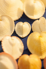 Top view of heart shapes sea shells, white heart on blue velvet background. Close up.