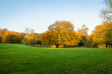Fototapeta premium piękne parki jesienią jesienią