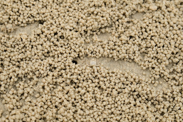 Top view Wind crabs and beaches.