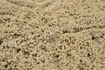 Top view Wind crabs and beaches.