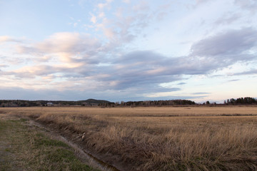 Fototapeta na wymiar Drainage ditch in dry field and old barn with mixed trees forest seen in the distance during a beautiful spring evening, Cacouna, Quebec, Canada