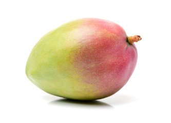 mangos on white background 