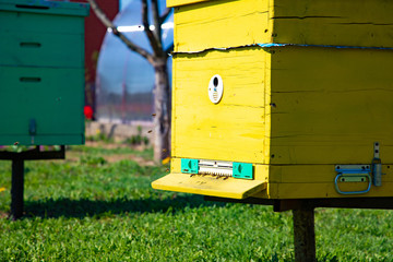 Bee hive in the farm garden