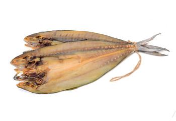 Dried salted fishes on white background
