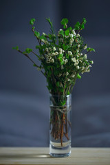 spring bouquet branches bud leaves / small fresh branches in a bouquet with green leaves buds and flowers, spring