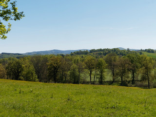 Paysage du Bourbonnais dans l'Allier. Vastes forêts et pâtures séparées par des haies autour de la montagne Bourbonnaise. 