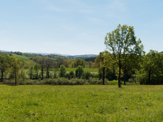 Fototapeta na wymiar Paysage du Bourbonnais dans l'Allier. Vastes forêts et pâtures séparées par des haies autour de la montagne Bourbonnaise. 