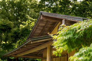 Upper part of a small Japanese teahouse in a garden covered with dense trees
