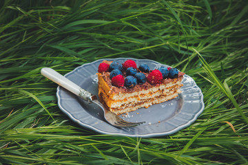 chocolate covered blueberry and raspberry tart on a grass