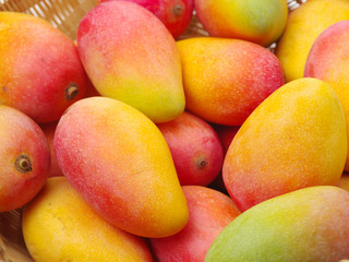 Fototapeta na wymiar mangos background