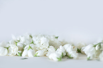 Obraz na płótnie Canvas White gentle flowers background