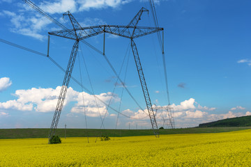 Spring fields with bloom rape and power lines.