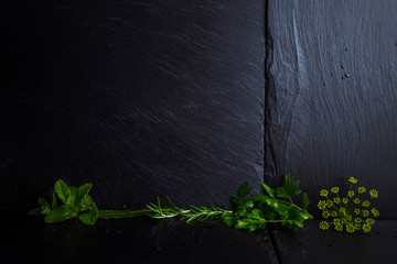 Menu background, herbs with blank.