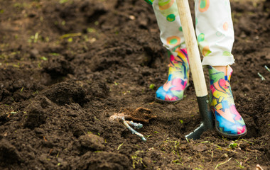 woman in rubber boots digging ground with shovel to plant soil