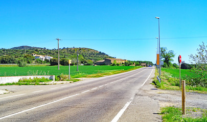 Campos de colza y amapolas en Girona, Catalunya, Espa&ntilde;a, Europa