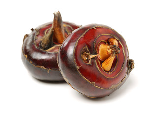 Water Chestnut on the white background