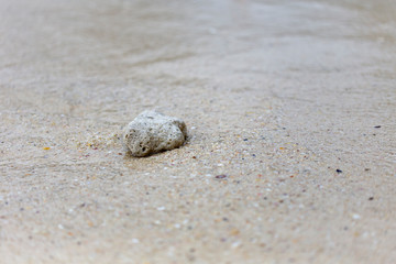 Korallen im Sand auf Koh Phi Phi
