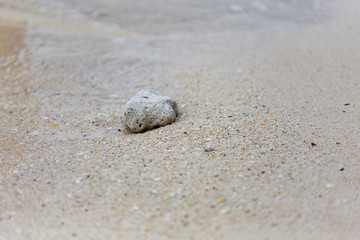 Fototapeta na wymiar Korallen im Sand auf Koh Phi Phi