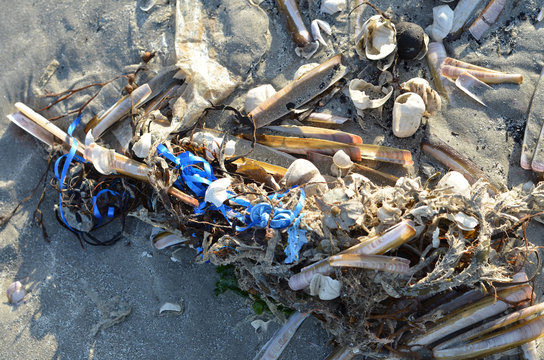 Plastic mess left on the beach or washed up.