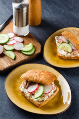 Delicious tuna sandwich, served with radish and cucumber