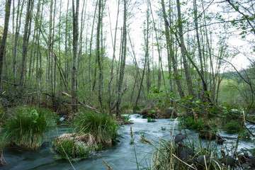 efecto seda rio